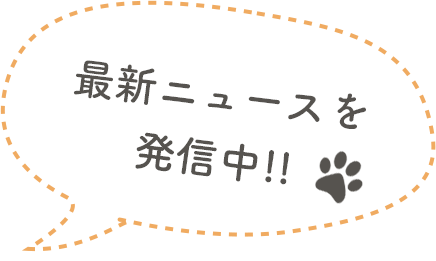 最新ニュースを発信中!!