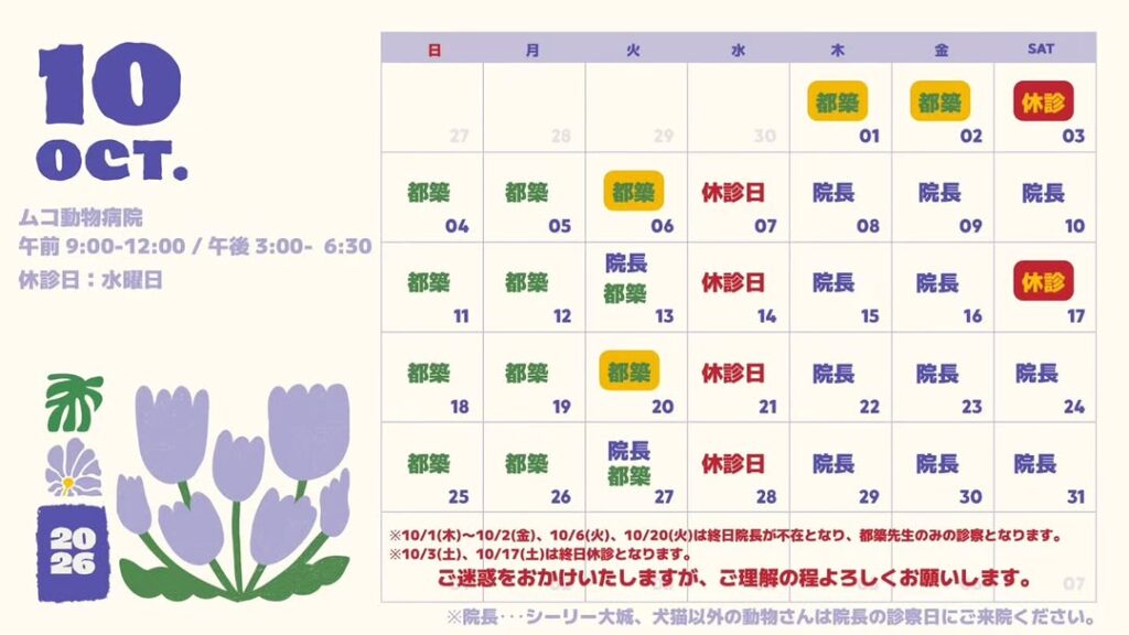 10月の獣医師勤務予定表